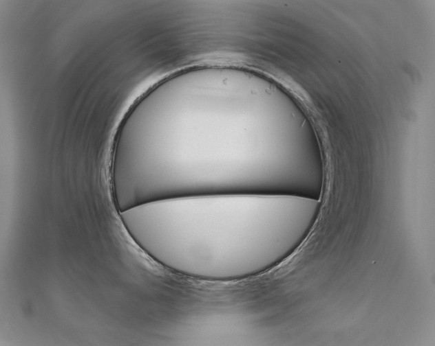 X0000112171248200908070953