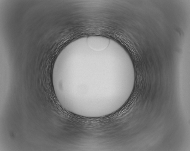 X0000112171249200908070952