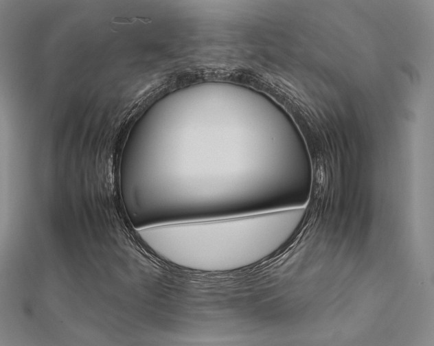 X0000112171252200908070952