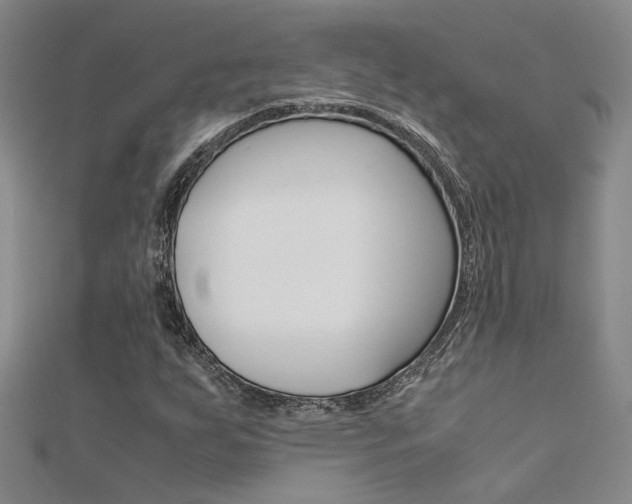 X0000112171255200908070952