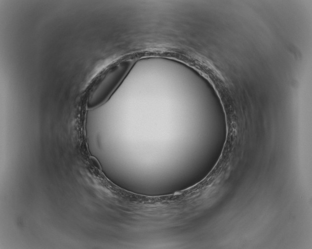 X0000112171256200908070952
