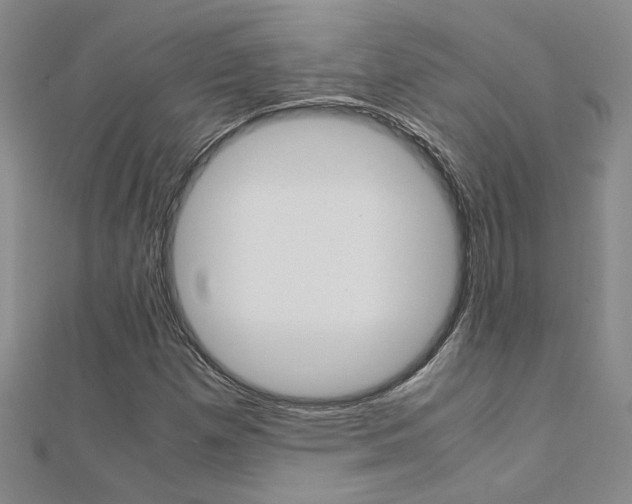 X0000112171257200908070952