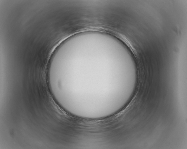 X0000112171260200908070952