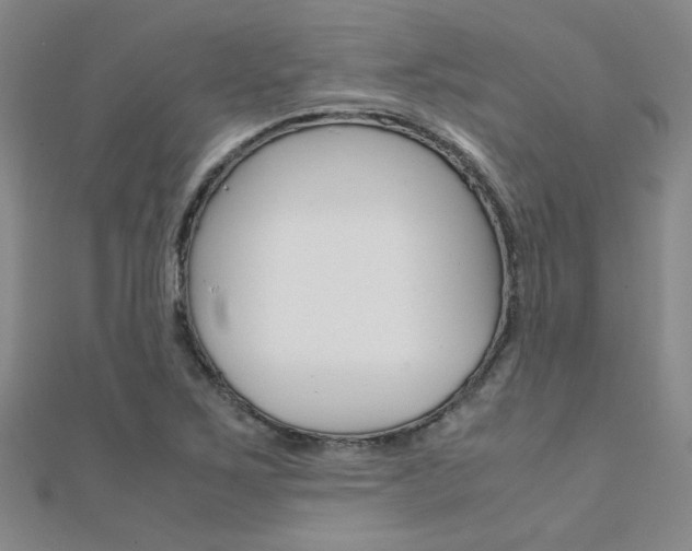 X0000112171267200908070952