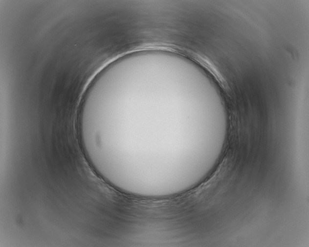 X0000112171268200908070952