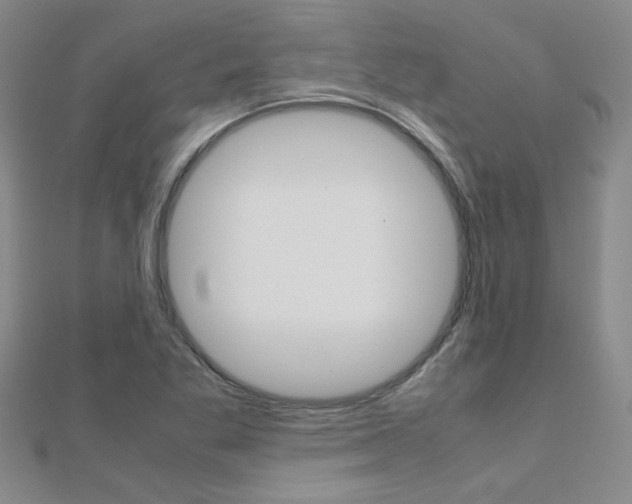 X0000112171269200908070952