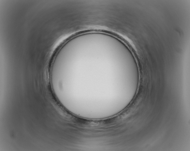 X0000112171271200908070952