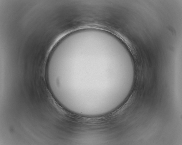 X0000112171272200908070952