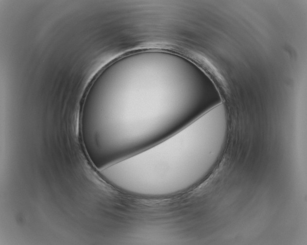 X0000112171276200908070952