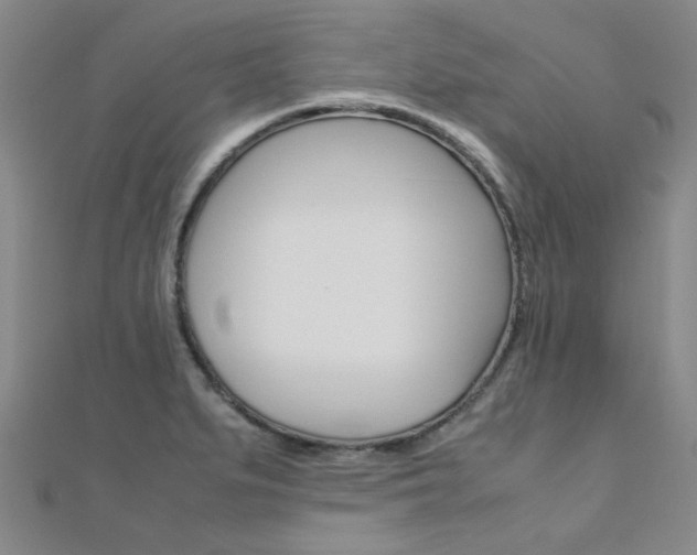 X0000112171279200908070952