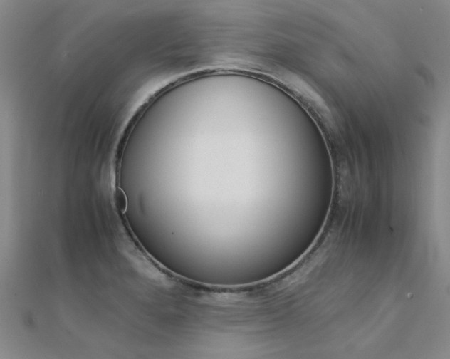 X0000112171280200908070952