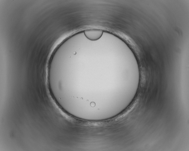 X0000112171286200908070951