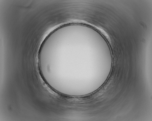 X0000112171287200908070951