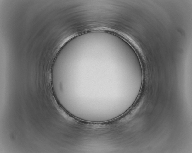 X0000112171289200908070951