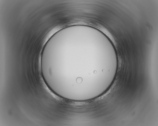 X0000112171290200908070951