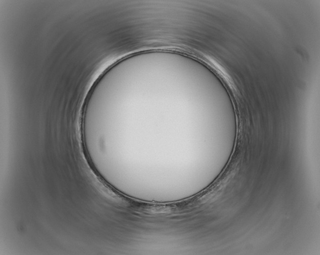 X0000112171291200908070951