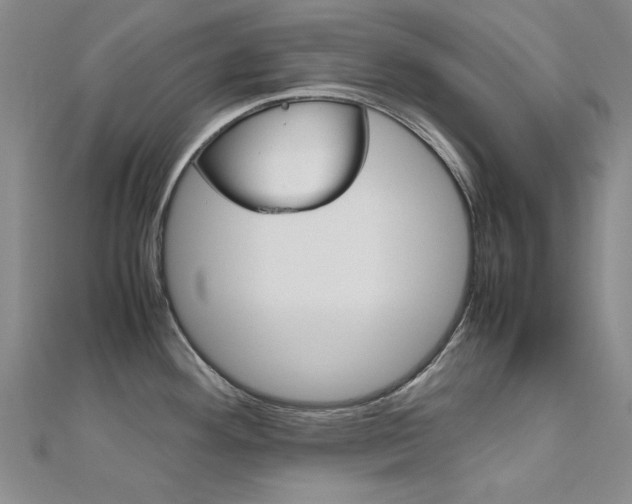X0000112171292200908070951