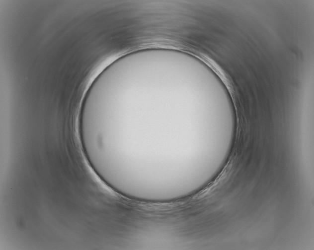 X0000112171293200908070951