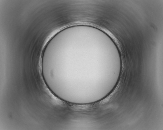 X0000112171294200908070951