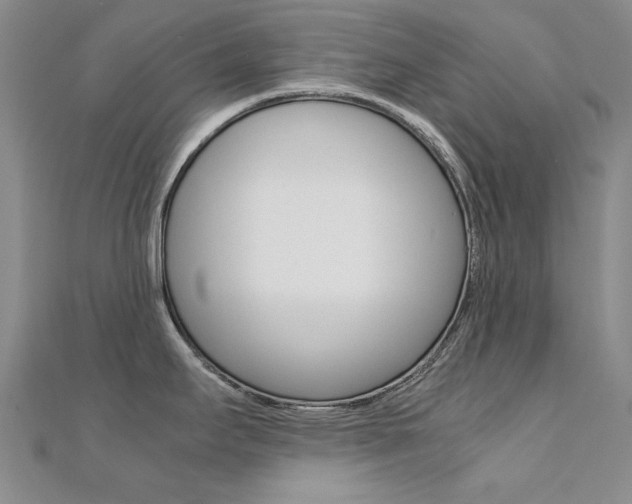 X0000112171295200908070951