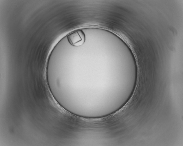 X0000112171296200908070951