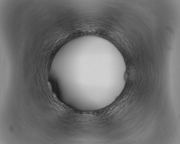 X0000112171297200908070951