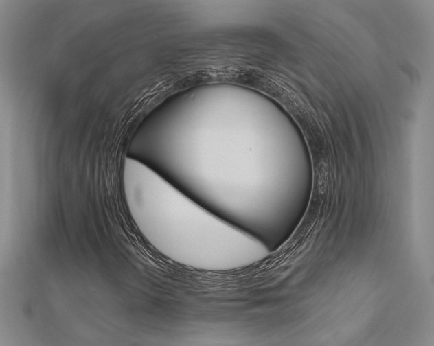 X0000112171298200908070951