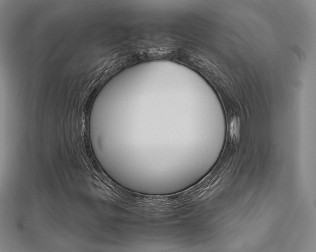 X0000112171299200908070951