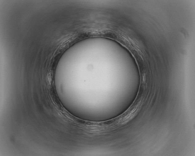 X0000112171300200908070951