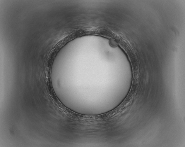 X0000112171301200908070951