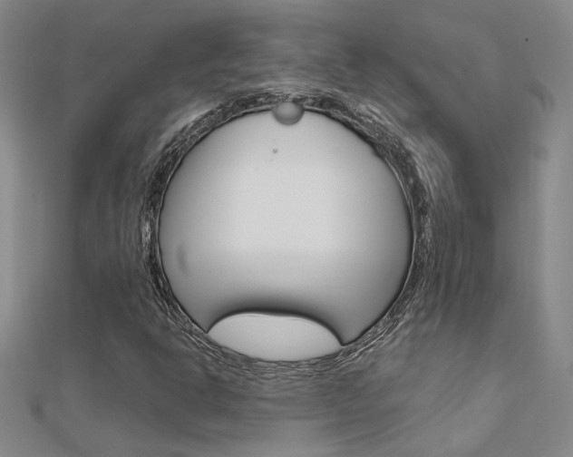 X0000112171302200908070951