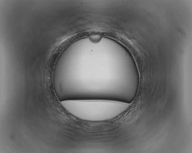 X0000112171303200908070951
