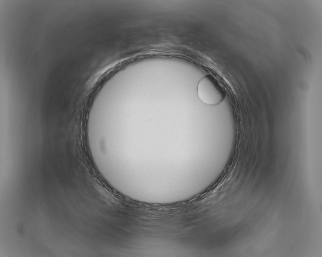X0000112171304200908070951