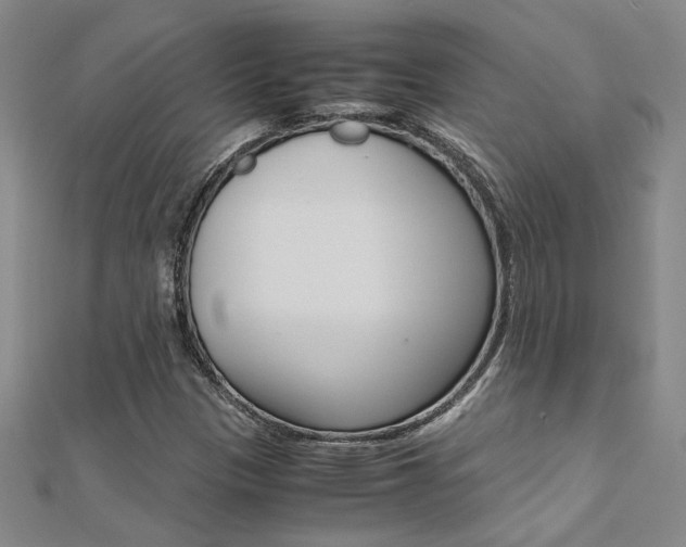 X0000112171305200908070951