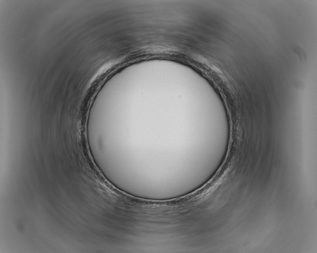 X0000112171306200908070951