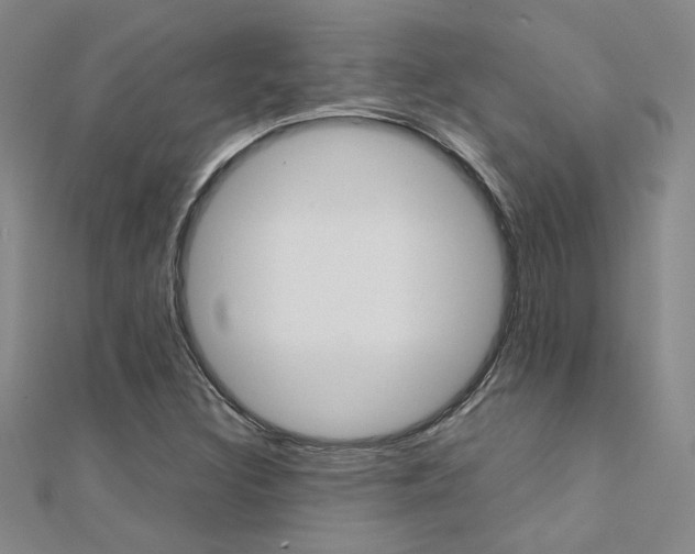 X0000112171308200908070951