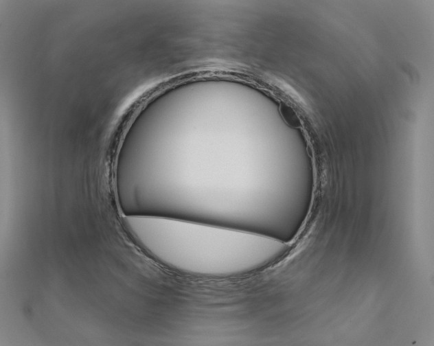 X0000112171310200908070951