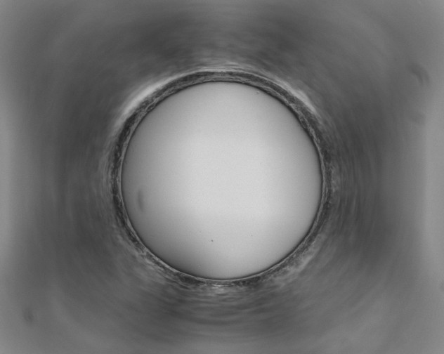 X0000112171311200908070951