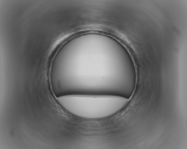 X0000112171312200908070951