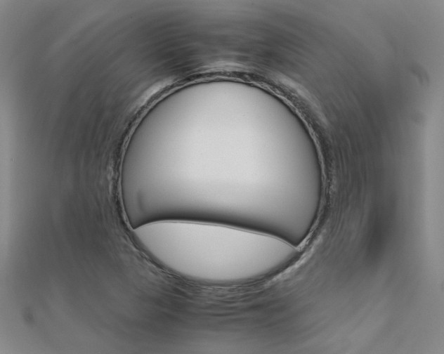 X0000112171313200908070951