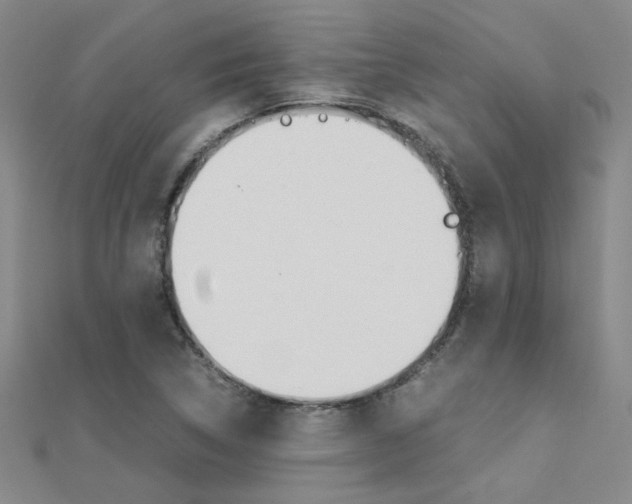 X0000112171314200908070951