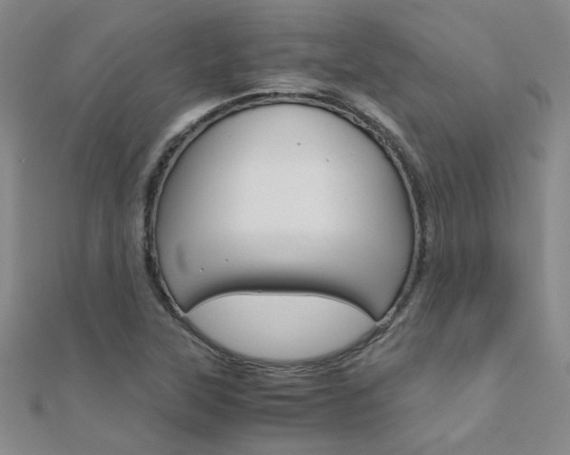 X0000112171315200908070951