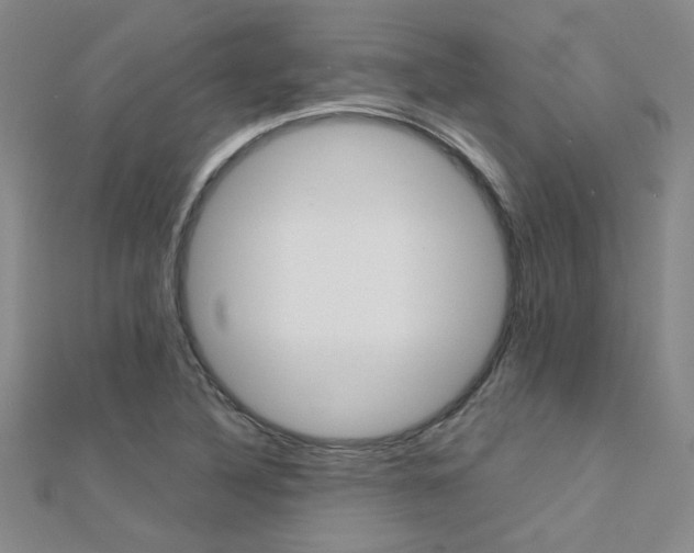 X0000112171316200908070951