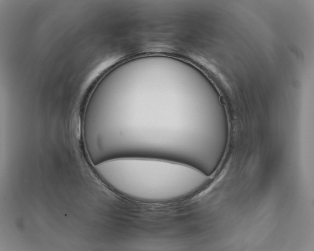 X0000112171317200908070951