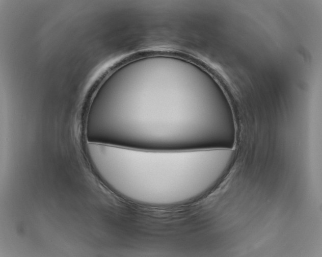 X0000112171319200908070951