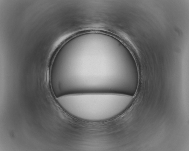 X0000112171320200908070951