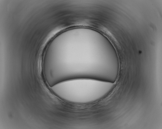 X0000112171323200908070951