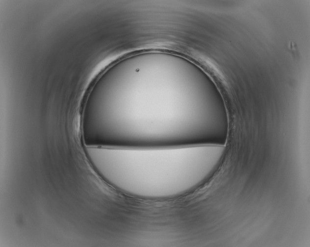 X0000112171324200908070951