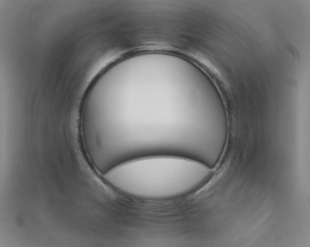 X0000112171325200908070951