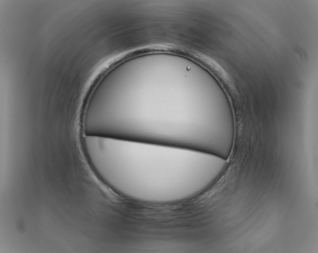 X0000112171327200908070951